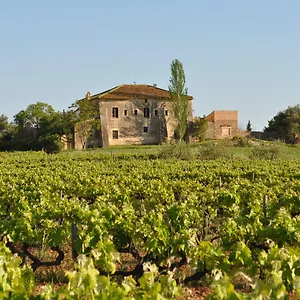 Mas Castell De Gimenelles *** Sant Jaume dels Domenys